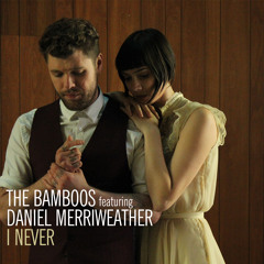 I Never ft. Daniel Merriweather