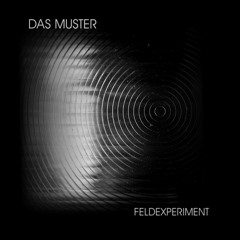 DAS MUSTER - FELDEXPERIMENT (OUTTAKES FROM THE DIGITAL DOWNLOAD ALBUM FROM 2011)