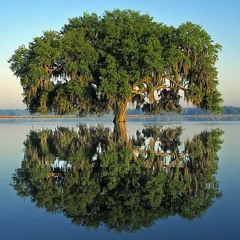 CONNIVENCE - musical 2001