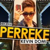 Kevin Domi - Perreke (Hamster Records)