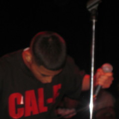 Cal-E-Wit My City 2010