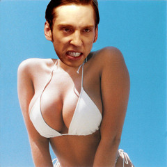 I am a Genius  (Aphex Twin - Windowlicker Remix)