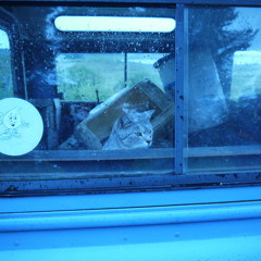 Videotape radiohead cover