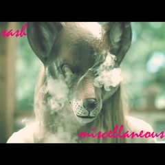 Sash - Miscellaneous