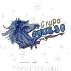Pegasso Mix