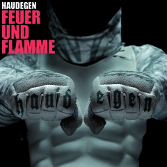 Haudegen: "Feuer und Flamme"