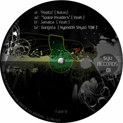 Hypnotik [skyzo tdm]-Gangsta [vinyl Syu Records 01]