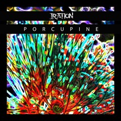 Porcupine (acoustic)