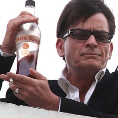 I Partied With Charlie Sheen