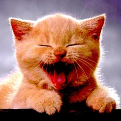 Jack Buser - Another Laugh Track