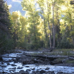 Little Creek (Native American Flute)