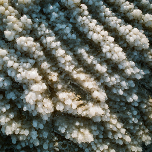 2012_Blender_ºMIX_
