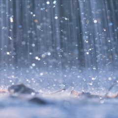 Can You Stand the Rain