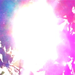 What is a beautiful moment