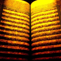 Talib Al Habib - Light of the Dawn