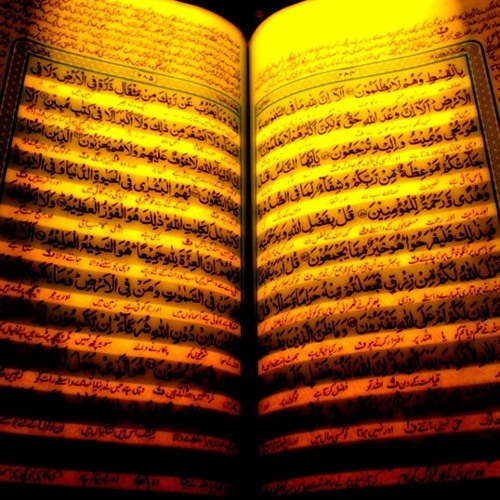 Talib Al Habib - Light of the Dawn