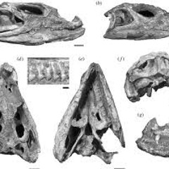 N.H.M.G(NEVER HATE MY GOD)