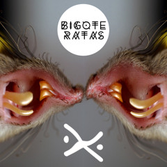 BiGΘ†ξ - R▲T▲$