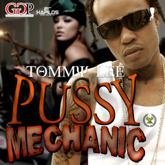 #TEAMDJROY-TOMMY LEE - PUSSY MECHANCI [MIX] DOWNLOAD FREE
