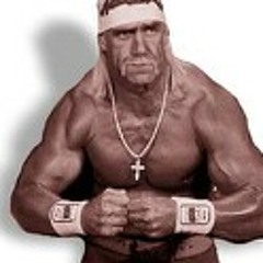 Hulk hogan (snippet)