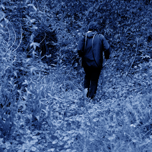 Transriver - Track 1 Headwaters