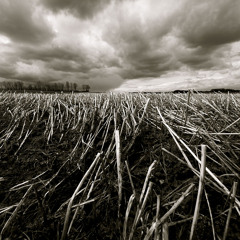 SkyFlair & Exal - Afterlife