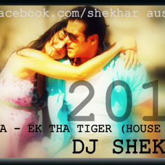 LAPAATA+-+EK THA TIGER+( HOUSE REMIX ) - DJ SHEKHAR