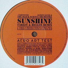 Black Science Orchestra ft Alison David - Sunshine (Faith On Sunday Vocal Mix)