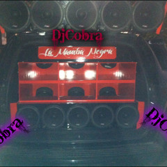 DjCobraTrack'1'LaMambaNegra 53Hz