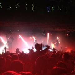 Team MaJesTic ft. Birdy Nam Nam & Skrillex - Wild For The Night (Team MaJesTic Hood Bass Remix)