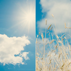 Happy i fucked up!!!!!