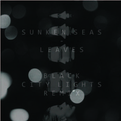 Sunken Seas - Leaves (Black City Lights Remix)