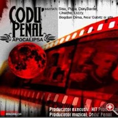 Codu Penal & Barac & Monik - Pot Sa Cad