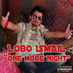 Lobo Ismail - One More Night (VZ & PZ! remix)