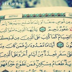 الإنسان بصوت الشيخ احمد كاسب