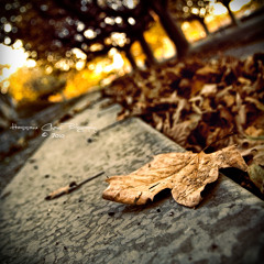 ADF - Hola... Nací De Nuevo