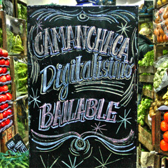 Catnapp - Let me see the Motherf (Camanchaca Remix)