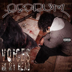 Redrum - Voices In My Head