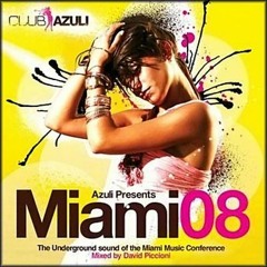 Miami  (Laidback Luke Bootleg)