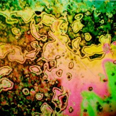 Acid Phase
