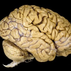 Local Source - Average , Eric Ron, Krome ( Pete Rock Instrumental)