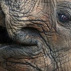 EEk Yikes! (Ian's Remixxx)