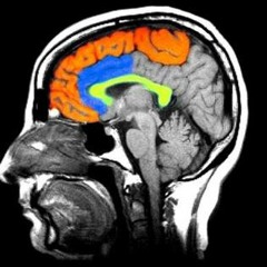 Mongo Lloyd - A Peak Inside The Mind of Mad Tom