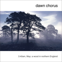 'Dawn Chorus' by Geoff Sample - Album Sample