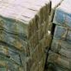 Pimp Squeak-Kick Fu Squad