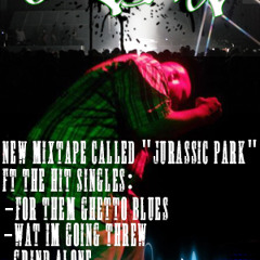 Texas lyrical wizardz