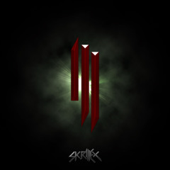 Skrillex - Needed Change