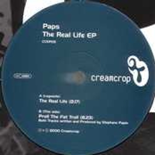 T.D. Shagga - minimal psytrance/psygressive dj mix - 2003