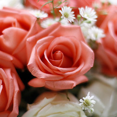 Lagu Raya(: Ku Pohon Restu Ayah Dan Bonda