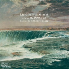 NS034 Liz Cirelli & Minski - Trip of the Dolphin (Original Mix)